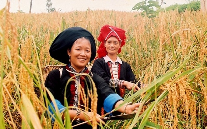 Đồng bào dân tộc thiểu số. Ảnh minh họa: molisa.gov.vn