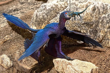 Loài thằn lằn bí ẩn mới được tìm thấy bên trong dạ dày khủng long bay 125 triệu năm tuổi