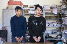 Bắt 2 đối tượng chặt hạ cây pơ mu đại thụ