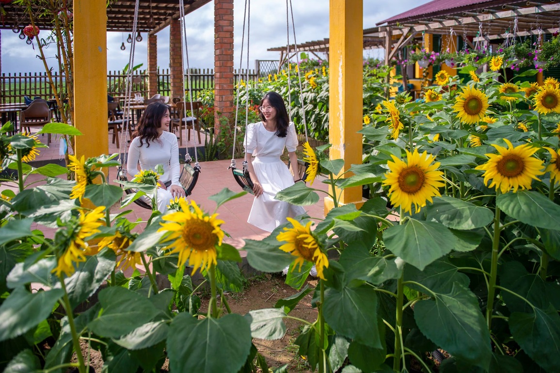 Hợp tác xã làm khu vườn thôn quê đẹp tuyệt đón khách đến check-in - 3 Hợp tác xã làm khu vườn thôn quê đẹp tuyệt đón khách đến check-in - 3