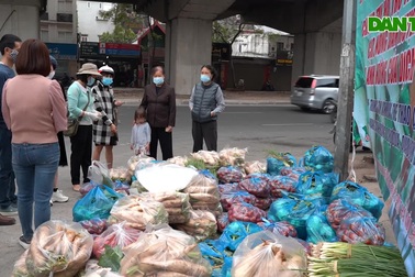 Người dân Hà Nội chung tay "giải cứu" củ cải, cà chua ở Mê Linh