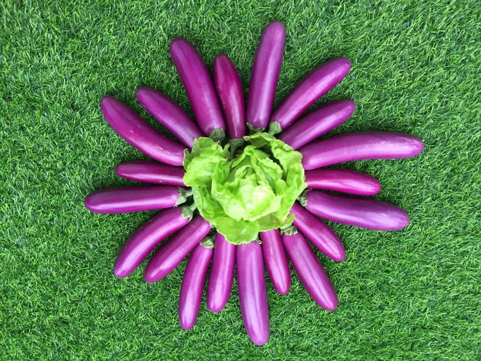 Người đàn ông Hà Nội phủ xanh sân thượng với khu vườn rau, trái sai trĩu - 8