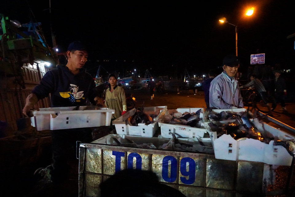 Đà Nẵng: Trắng đêm ở cảng cá lớn nhất miền Trung - 3 Đà Nẵng: Trắng đêm ở cảng cá lớn nhất miền Trung - 3