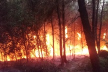 Nghi đốt rác ven đường gây cháy rừng