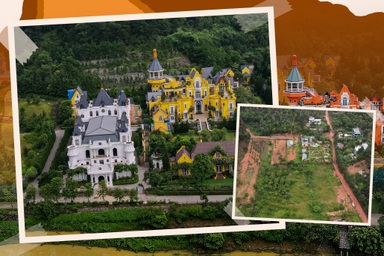 17 năm rừng Sóc Sơn bị "xẻ thịt"