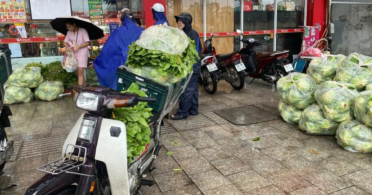 Rau, thịt dồi dào ở chợ, siêu thị Hà Nội: Hết cảnh chen chúc mua hàng - 12