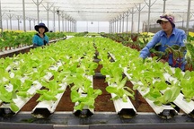 Tư vấn tuyển sinh 2019: Ngành Công nghệ Nông nghiệp làm việc như thế nào?