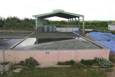 Đau đầu nghĩ kế “quản” chất thải hầm cầu