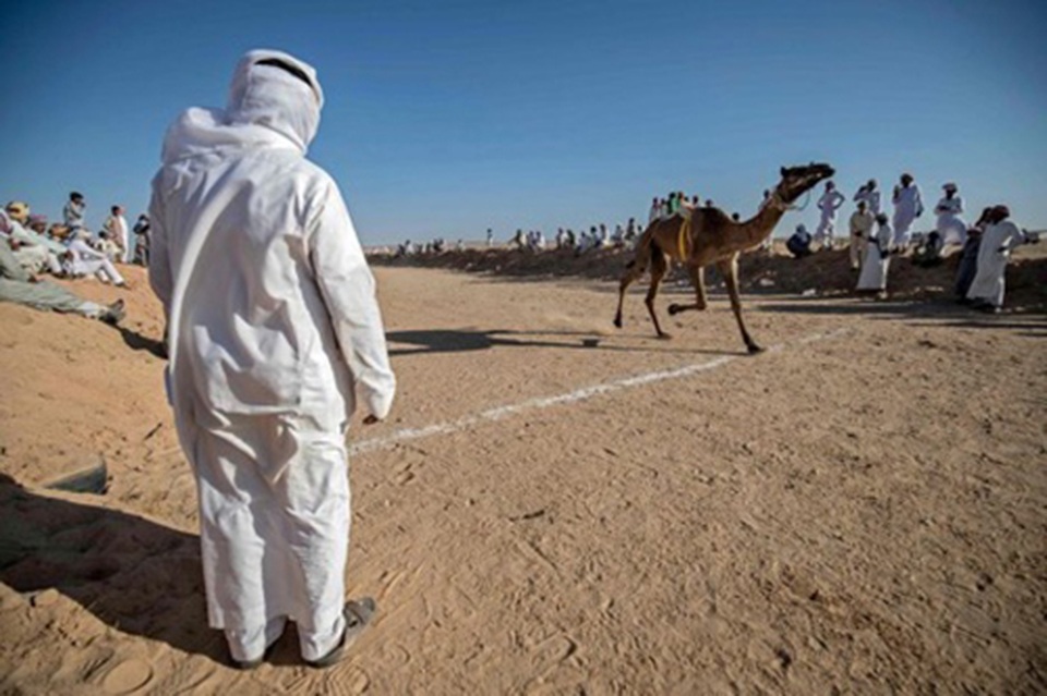Đường đua các “chiến binh lưng gù” tại Sinai sôi động trở lại - 2