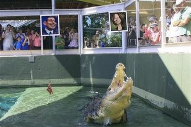 Xem “nhà tiên tri” cá sấu dự đoán bầu cử Australia