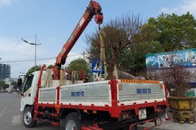 Shipper cây cảnh kiếm tiền triệu mỗi ngày dịp cận Tết