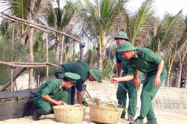 Phú Yên: Hơn 200 đoàn viên tham gia chiến dịch làm sạch bãi biển