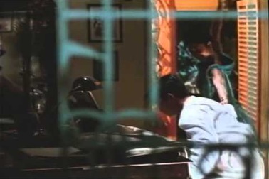 Trailer phim "Mùi đu đủ xanh" (1993)