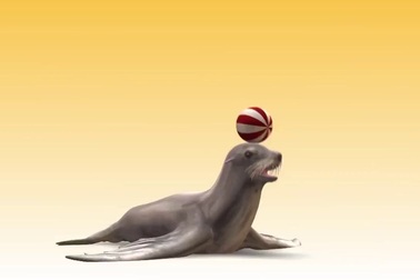 Du khách hốt hoảng khi thấy rắn bò từ khoang hành khách