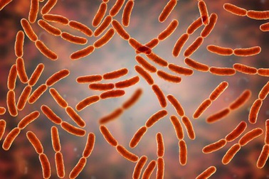 Vi khuẩn âm đạo liên quan đến ung thư buồng trứng