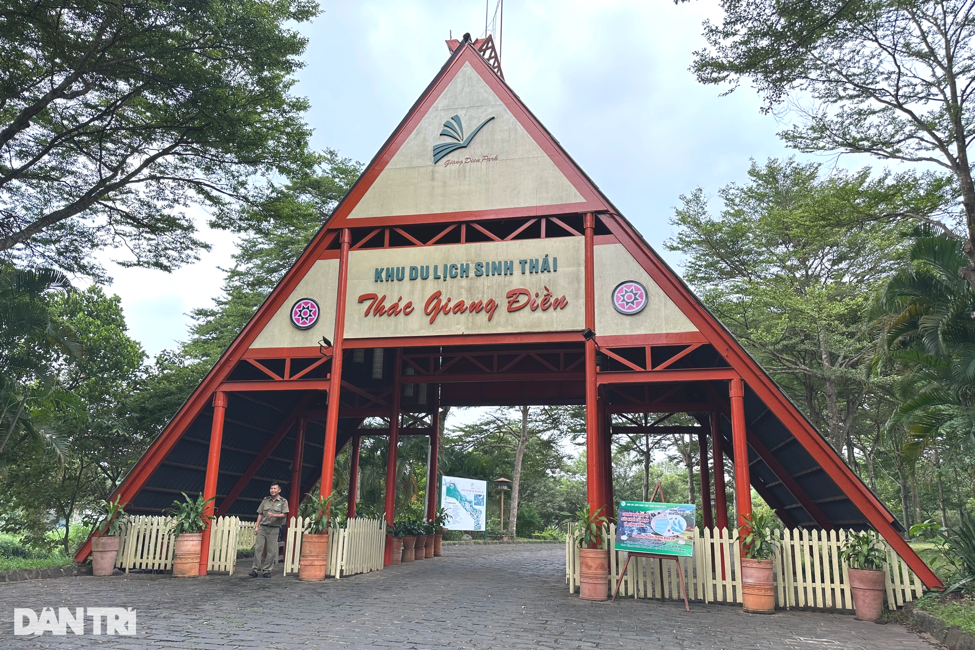 Khu dân cư mật độ thấp Giang Điền hoang tàn, cây cỏ mọc um tùm - 4 Khu dân cư mật độ thấp Giang Điền hoang tàn, cây cỏ mọc um tùm - 4