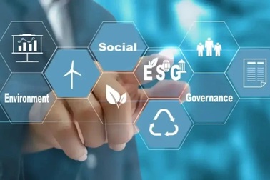 Doanh nghiệp tài chính làm gì để thúc đẩy chuyển đổi số trong quản trị?