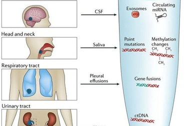 CancerSEEK: “Sinh thiết lỏng” chẩn đoán sớm ung thư
