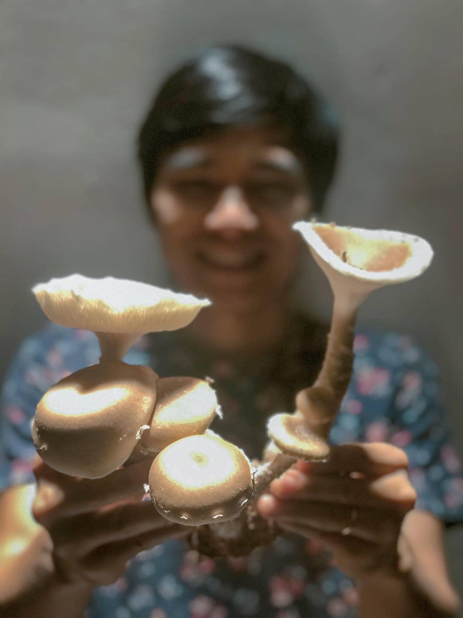 Trải nghiệm trồng nấm tại nhà của vợ chồng blogger: Tốn kém nhưng rất vui - 2 Trải nghiệm trồng nấm tại nhà của vợ chồng blogger: Tốn kém nhưng rất vui - 2