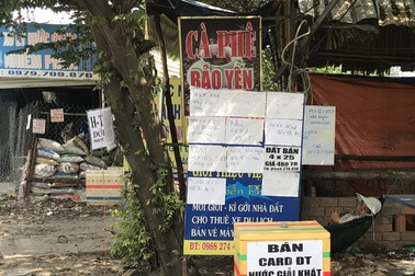 Bỏ việc, kéo nhau làm... cò đất