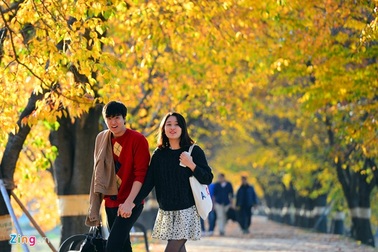 Chạm tay vào mùa thu Hàn Quốc