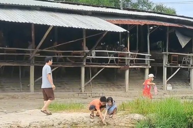 Nước suối "tiên" ở Bình Định luộc chín trứng gà