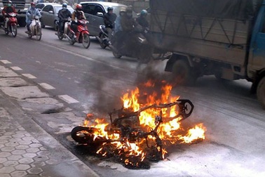 Chuột cũng là nguyên nhân làm cháy xe máy?