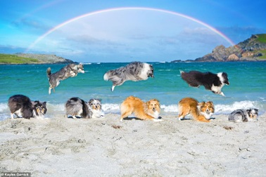 Người phụ nữ một mình thực hiện bộ ảnh lịch gây sốt