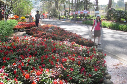 Festival hoa Đà Lạt 2010: Không gian hoa lộ diện