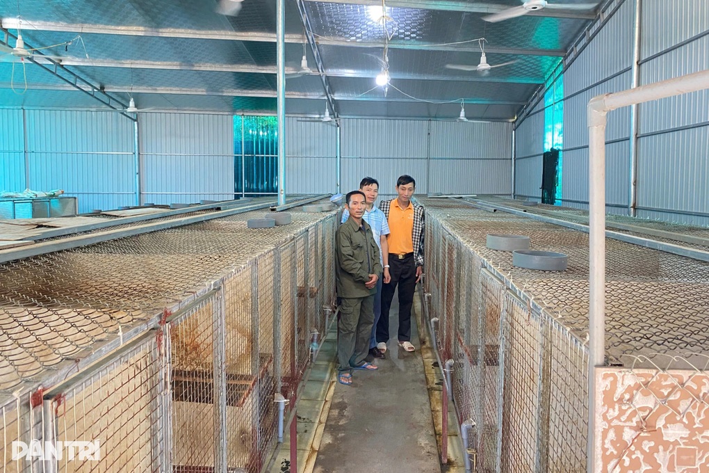 Người đàn ông thành triệu phú nhờ nhân giống loài động vật hoang dã - 3