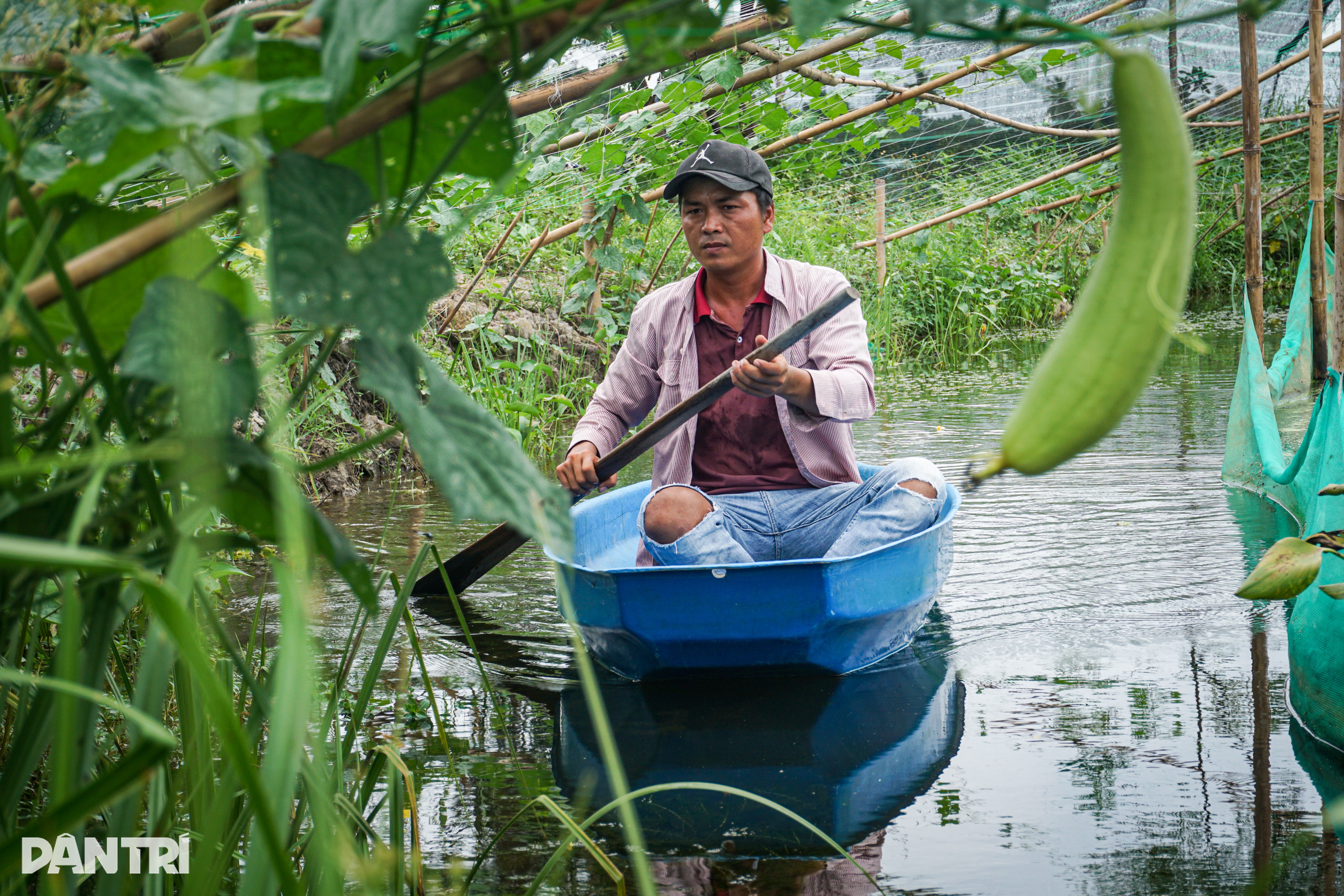 Throwing a lot of gold into the pond, initially criticized, later everyone loved it - 4 Ném cả lượng vàng xuống ao, ban đầu bị chê, sau ai cũng mê tít - 4