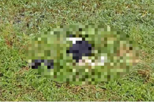 Xác minh vụ xe máy tông nam công nhân tử vong rồi bỏ chạy