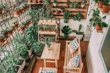 Cải tạo ban công cũ mèm 6m2 thành khu vườn thơ mộng