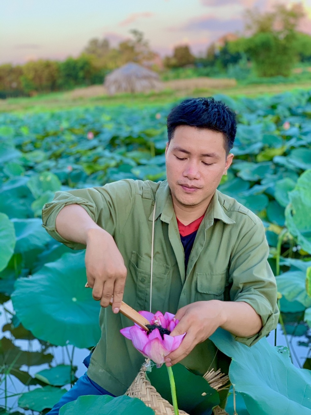 Cất bằng cử nhân báo chí, 9X về quê làm trà ướp sen bán chục triệu đồng/kg - 1 Cất bằng cử nhân báo chí, 9X về quê làm trà ướp sen bán chục triệu đồng/kg - 1