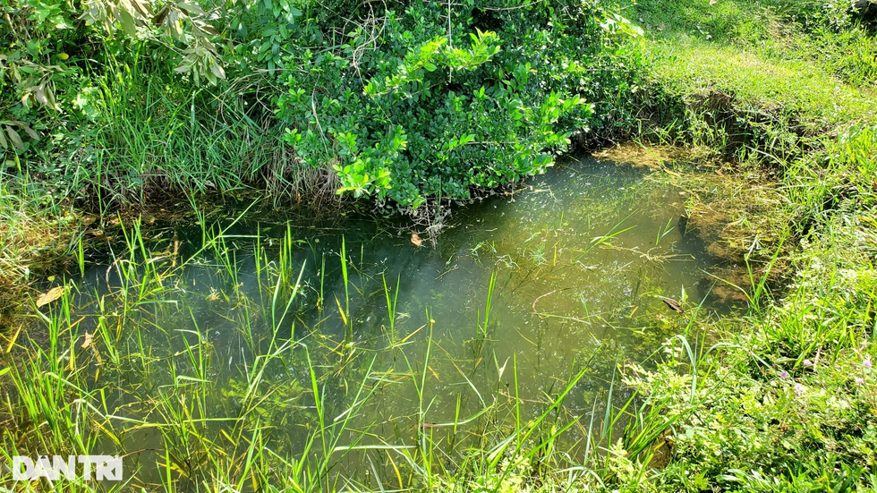 Kỳ lạ cặp giếng Mắt Rồng gần 500 năm tuổi chưa bao giờ cạn - 4