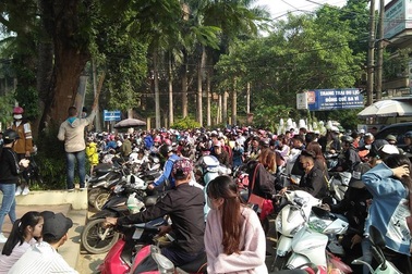 Hàng nghìn người đổ về ngắm hoa dã quỳ, Ba Vì “thất thủ” ngày cuối tuần