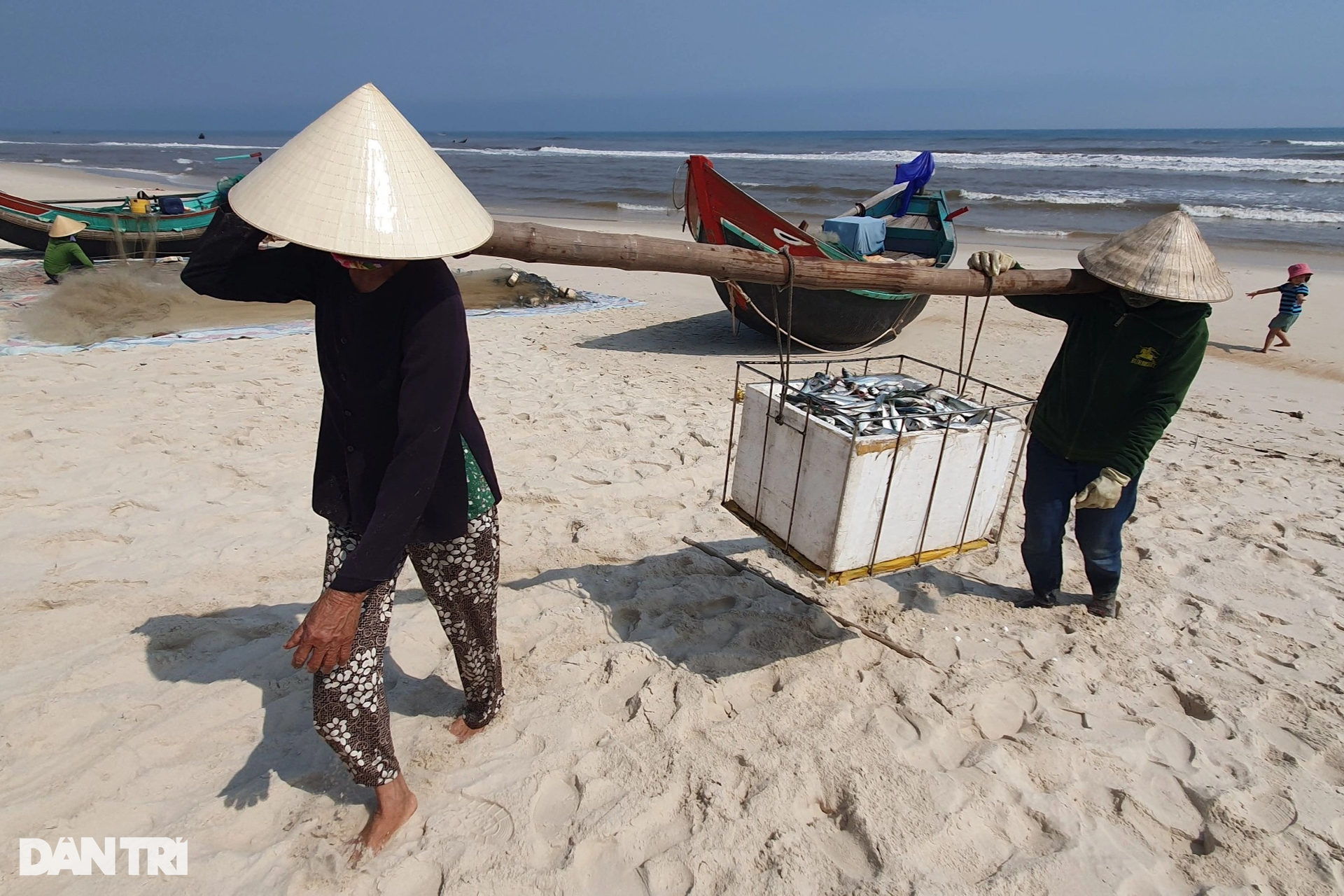 Trúng đậm cá trích, ngư dân bãi ngang thu tiền triệu mỗi ngày - 4