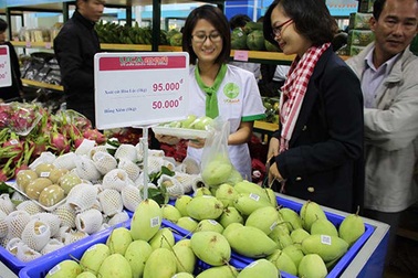 Tranh nhau mua cá, tôm...với thương lái Trung Quốc