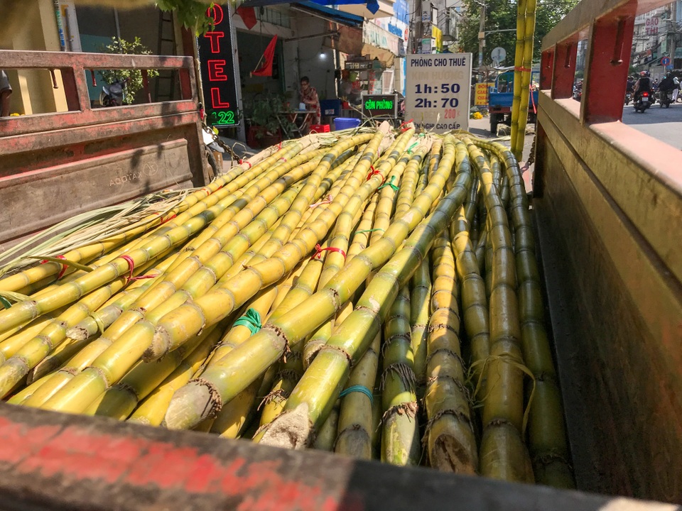Trắng đêm bán mía mưu sinh ngày đầu năm - 4 Trắng đêm bán mía mưu sinh ngày đầu năm - 4