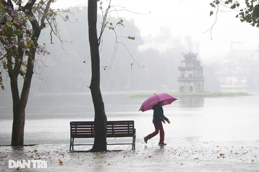 Bình quân 37 người dân Hà Nội có 1 doanh nghiệp