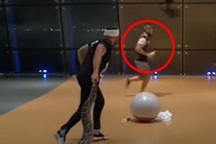 Tay không đấu vật với gấu và sư tử, võ sĩ Khabib lại suýt ngất vì sợ rắn