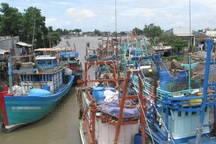 Hàng loạt thiết bị giám sát hành trình tàu cá mất kết nối, Cà Mau “hỏa tốc” xử lý