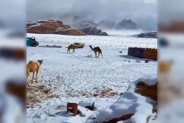 Video hiếm: Tuyết rơi phủ trắng sa mạc Sahara. Nguồn: ABC News