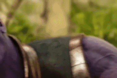 Kết cục nào cho Trái Đất nếu Thanos thắng và 50% nhân loại biến mất?