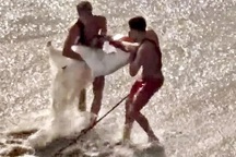 Bị sóng khổng lồ cuốn ra biển khi đang chụp ảnh cưới