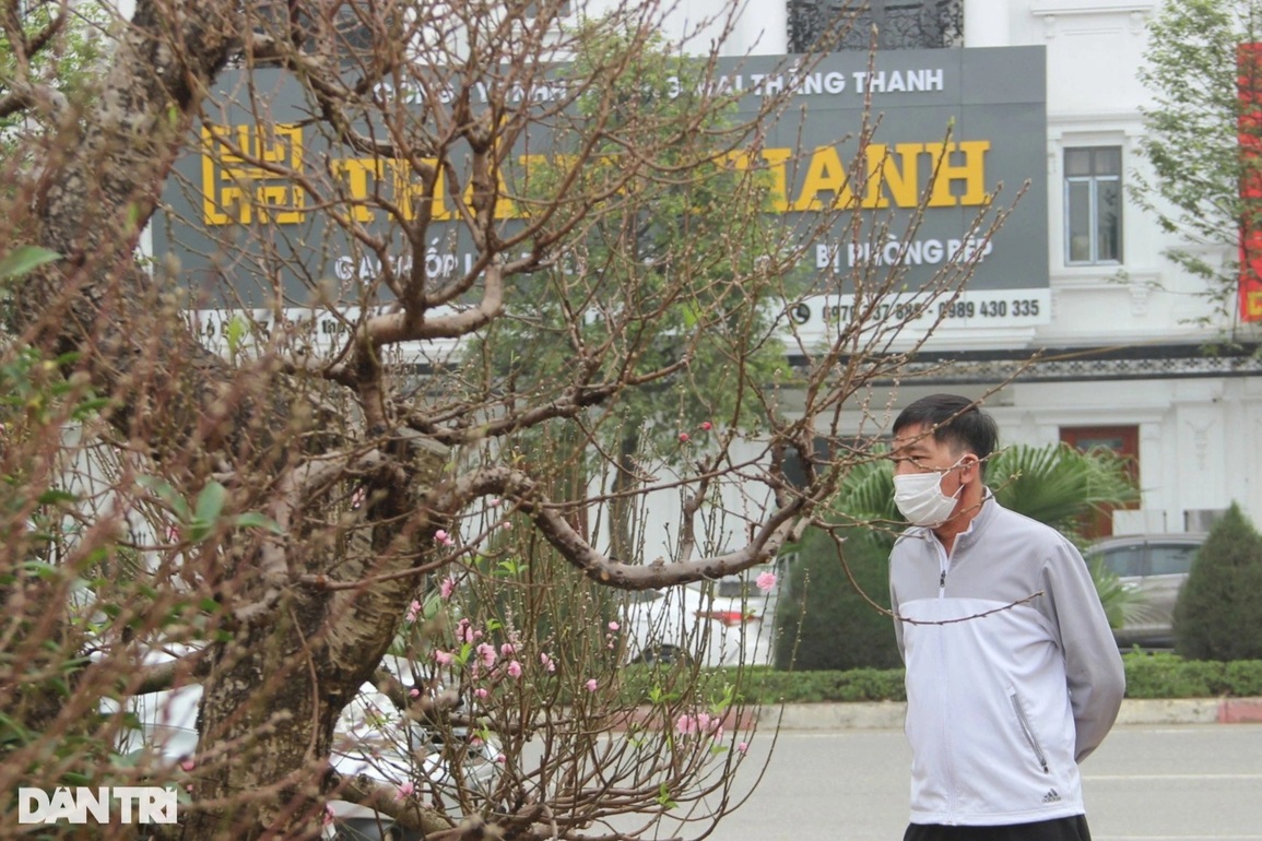 Lo sức mua yếu, nhà vườn cắt giảm chi phí nhân công vụ Tết - 8 Lo sức mua yếu, nhà vườn cắt giảm chi phí nhân công vụ Tết - 8
