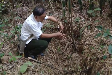Vụ 13 mộ liệt sĩ không có hài cốt: Tìm thấy nhiều di vật