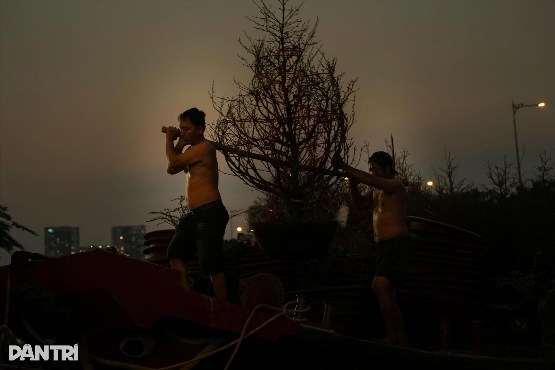 Tất bật chuẩn bị cho Chợ hoa xuân Trên bến dưới thuyền duy nhất tại TPHCM - 11 Tất bật chuẩn bị cho Chợ hoa xuân Trên bến dưới thuyền duy nhất tại TPHCM - 11