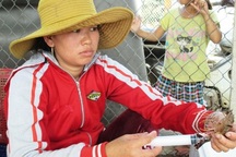 Bơm bột rau câu vào tôm: Phạt chủ cơ sở 30 triệu đồng