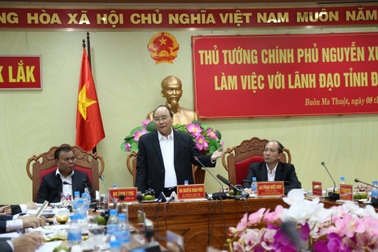 Thủ tướng yêu cầu quan tâm đến trồng rừng, phát triển công nghiệp chế biến gỗ